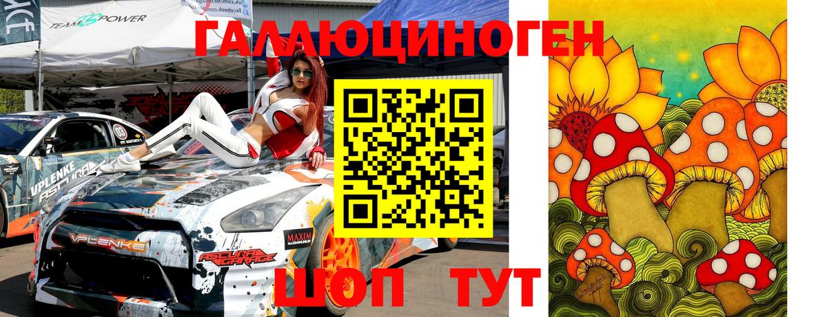 Галлюциногенные грибы Psilocybine cubensis  Вход с VPN  Спасск-Дальний 