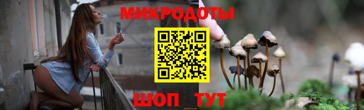 Псилоцибиновые грибы мухоморы Спасск-Дальний
